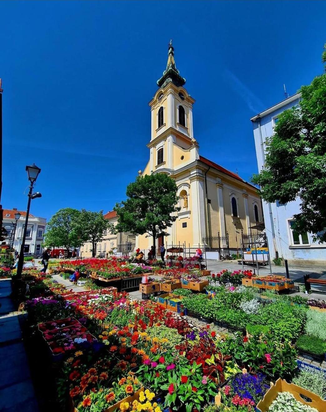 Zemun Central * Zemun