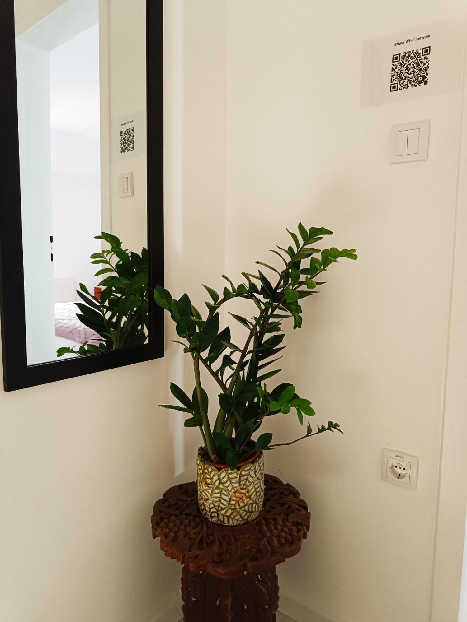 Zemun Central Apartment