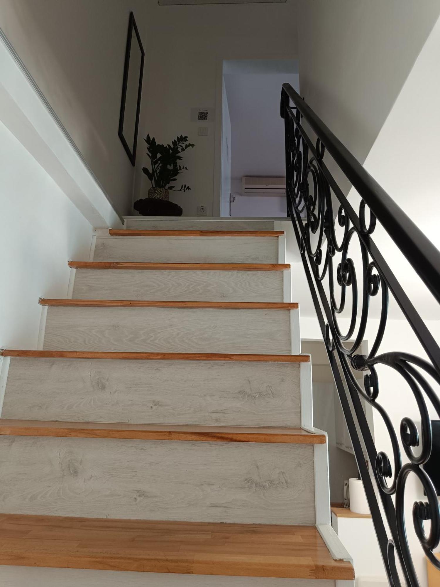Apartment Zemun Central *